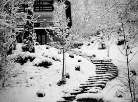 VILA GIGI, ideala pentru relaxare si distractie!，位于布雷亚扎的酒店