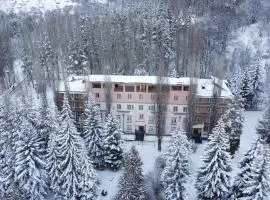 阿弗兰公园度假酒店