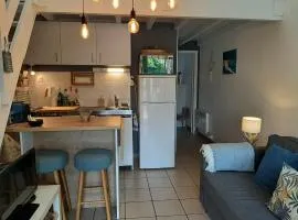 Appartement Capbreton, 3 pièces, 4 personnes - FR-1-239-789