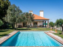 Villa with Pool & private garden - Palmela Quinta das Oliveiras，位于新皮尼亚尔的别墅
