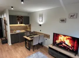 Apartman Mist - Bela Reka Kopaonik