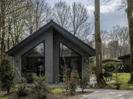 Eco Villa near Forest in Netherlands