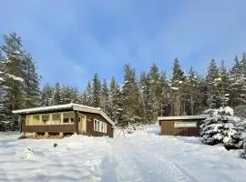Gorgeous Home In Trysil With House A Mountain View