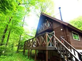 HARUNA LODGE Private log house with starry sky from the skylight, fireplace, and spacious deck BBQ