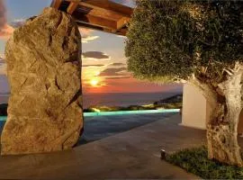 Majestic Mykonos Villa - 5 Bedrooms - Villa Shannon - Private Infinity Pool and Sensational Sea Views - Agios Ioannis