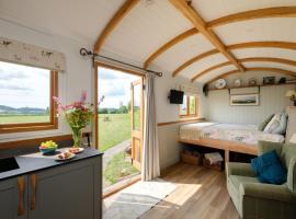 The Acorn - Luxury Shepherds Hut hot tub panoramic views，位于Bradpole的木屋