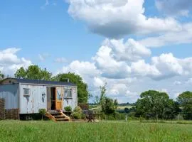 Honey Bee - Comfortable luxury shepherds hut with hot tub
