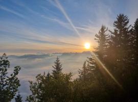 Rigi-Scheidegg Ferienwohnungen West XL, Autofrei，位于菲茨瑙的酒店