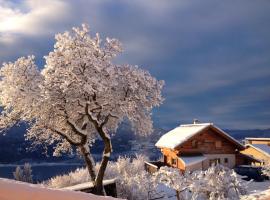 Chalet bioclimatique avec vue sur le lac de Serre Ponçon，位于Saint-ApollinaireClos des Aurans附近的酒店