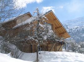The Vaujany Mountain Lodge，位于沃雅尼奥兹恩欧萨恩滑雪学校附近的酒店