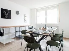 Modernes großräumiges Apartment - zwei Bäder