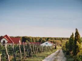 Winnica Mozów