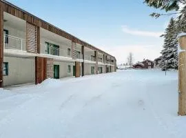 Cozy Apartment In Sjusjøen With Kitchen