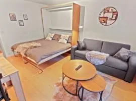 Chaleureux studio plein centre