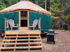 Allie Mae Yurt nestled in the woods