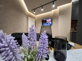 Apartament Varosha LUXURY，位于Lovech的带停车场的酒店