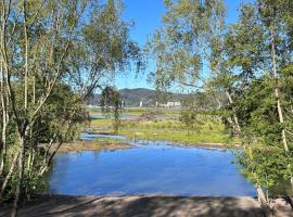 Alojamiento BordeR&iacute;o，位于康塞普西翁的宠物友好酒店