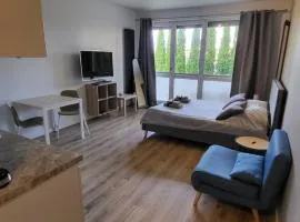 Apartament pod Dębowcem - Starzyńskiego Valley