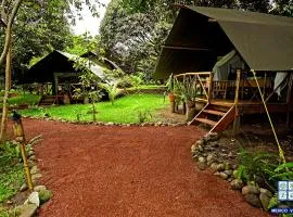 墨西哥豪园探险酒店