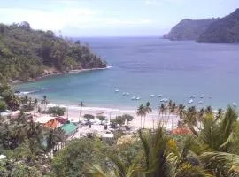 Maracas Bay View