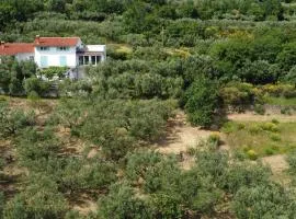 House among olive trees with a sea view 3