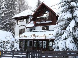 Casa Alexandra***，位于普雷代亚尔的酒店