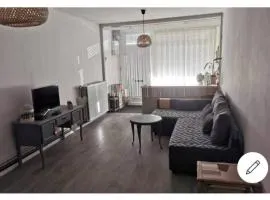 Vintage house ViVa