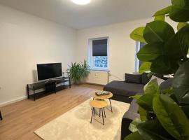 Ferienwohnung Haus Paraschiv，位于奥厄的酒店