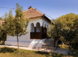 Sentina kuća，位于Vrtovac的酒店