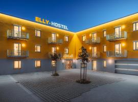 ELLY Hostel，位于弗赖贝格伊丽莎白旧宫附近的酒店