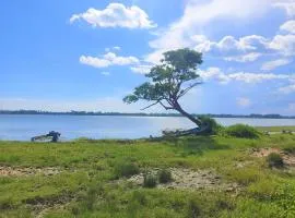 Lake Scape Yala Safari inn