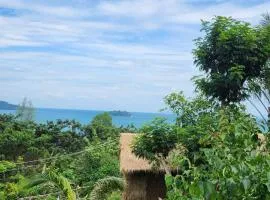 Sweet Jungle Camping