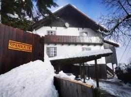 Drevenica Spanka，位于斯潘尼亚多利纳萨奇蒂基滑雪场附近的酒店