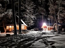 Mini saunahouse，位于Ba&scaron;ķi的带停车场的酒店