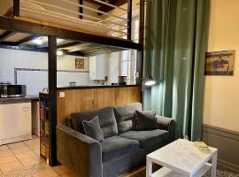 Appartement Le Cadet Roussel Auxerre Les Quais，位于欧塞尔的酒店