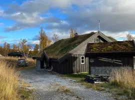 Vakker hytte med fantastisk utsikt