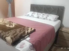 Apartman.nemanjica bb