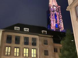Les toits de Gutenberg，位于斯特拉斯堡的酒店