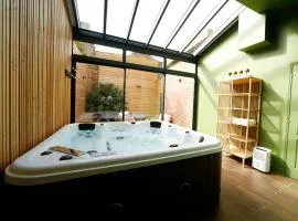 L'arbre d'or Appart hyper centre spa couvert
