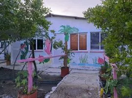 Mar Rosa Galerazamba Hostal