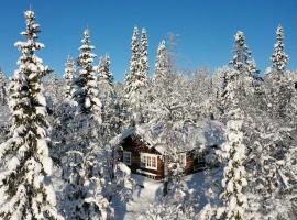 Messlingen, Sj&ouml;v&auml;gen 5，位于菲奈斯达伦的木屋