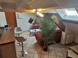 Appartement cozy avec mezzanine，位于Souppes-sur-Loing的酒店