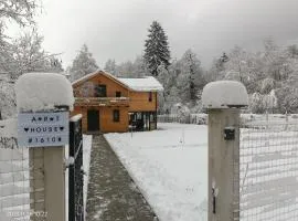 ART House Transylvania , Valea Avrigului , Sibiu