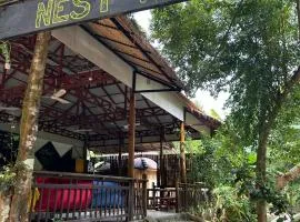 Nest Jungle