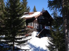 Chalet Baur，位于阿罗萨的酒店