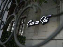 Hotel Restaurant Casa Cu Tei Craiova，位于克拉约瓦的酒店