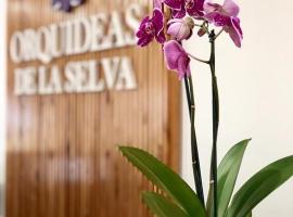 Orquídeas De La Selva，位于伊瓜苏港的酒店