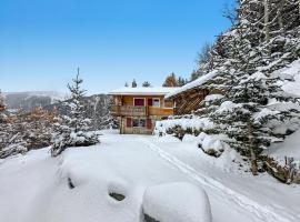 Chalet a Didi - Alps Paradise - 4 Vallees，位于拉茨欧马兹的乡村别墅