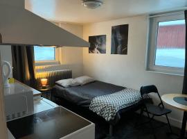 Apartment with shared bathroom in central Kiruna 1，位于基律纳的酒店