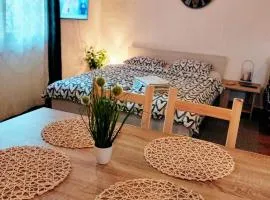 Studio apartman Buteo